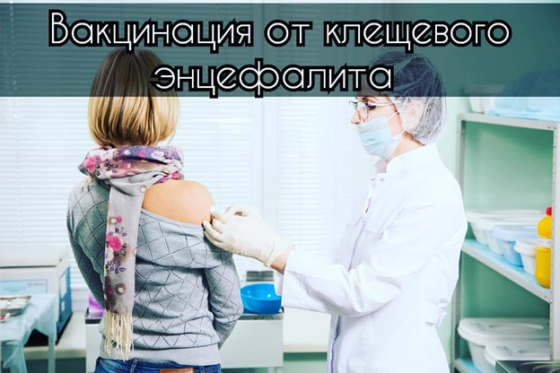 vakcina_klesh.jpg